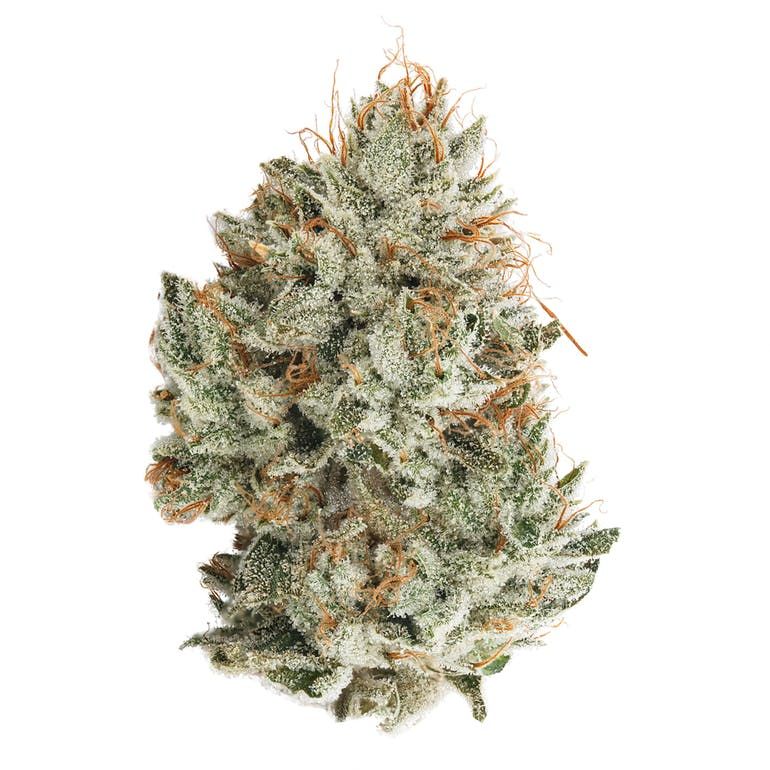 Cure Cannabis Co Gorilla Glue #4 Flower Hybrid