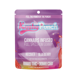 Kushy Punch Recover Blueberry 2:1 Gummy 90mg Edibles Gummies