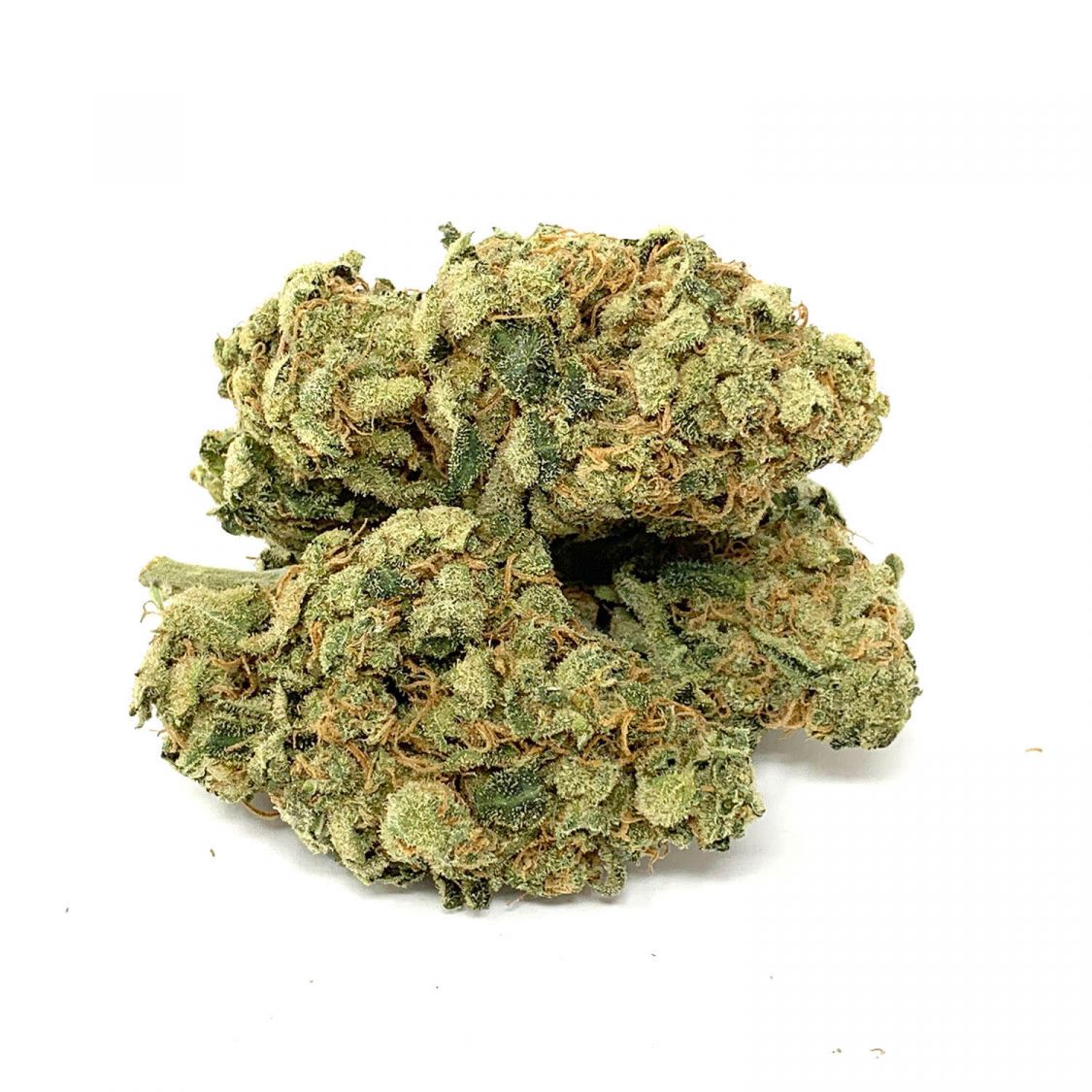 AAA Red Congolese Flower Sativa