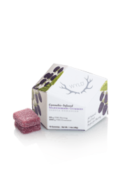 WYLD Marionberry Indica Enhanced Gummies 100mg Edibles Gummies