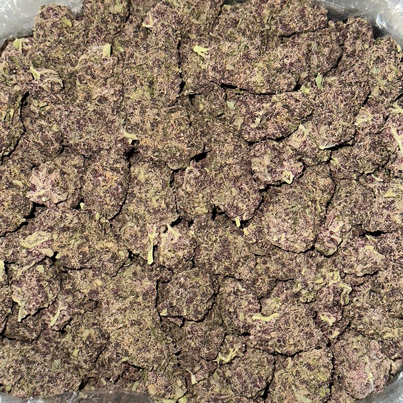 Nameless Genetics (Indoor) Purple Barney $600/Qp Flower Indica