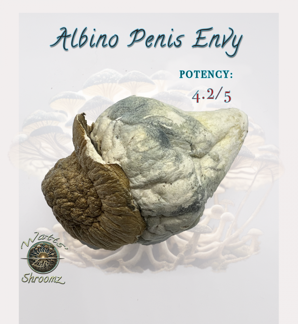  ALBINO PENIS ENVY (MAGIC SHROOM) *SPECIAL Flower Shake / Trim
