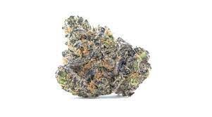  CANDY FRITTER Flower Indica