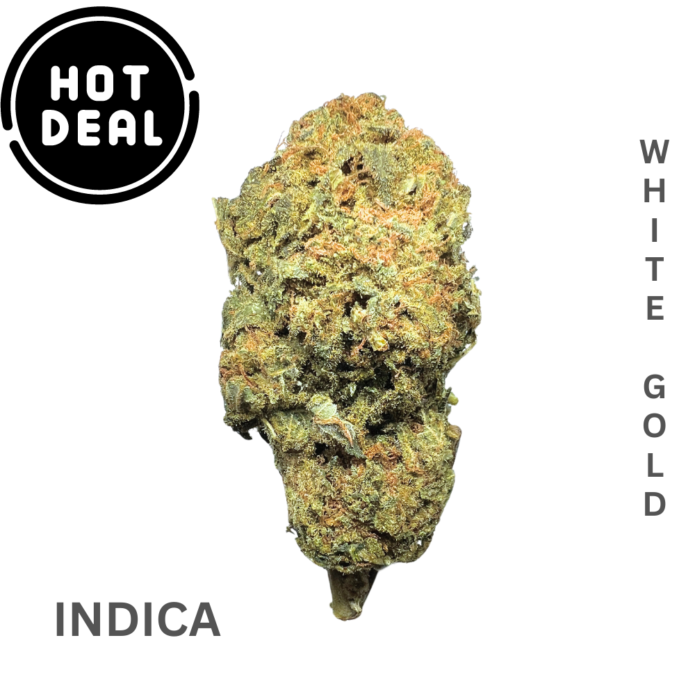  WHITE GOLD (AAA) * HOT DEAL Flower Indica