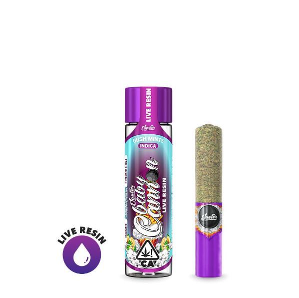 Jeeter Jeeter Live Resin Infused - Baby Cannon - Gush Mints Pre-rolls Infused Pre-Rolls
