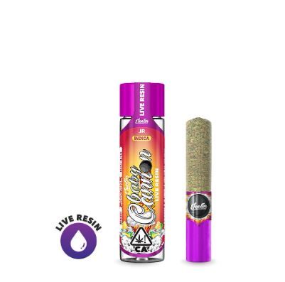 Jeeter Jeeter Live Resin Infused - Baby Cannon - JR Pre-rolls Infused Pre-Rolls
