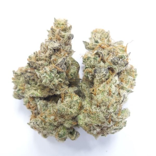 Wee Share STRAWBERRY CHAMPAGNE Flower Sativa
