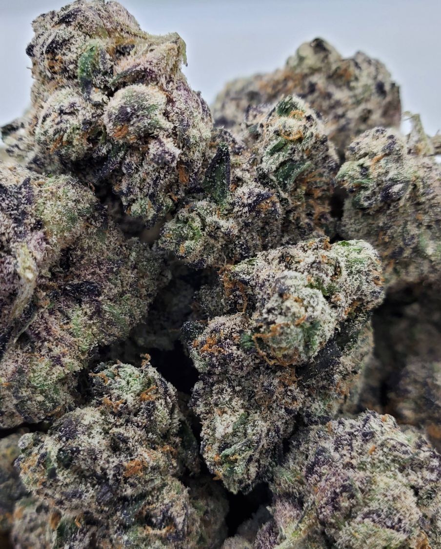 World Class Cannabis Granddaddy Purple Flower Indica